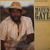Marvin Gaye - Sanctified Lady