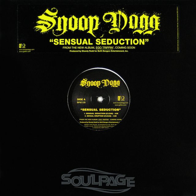 Snoop Dogg - Sensual Seduction